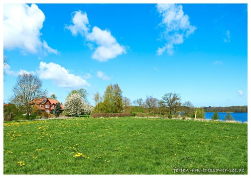 Stimmung Haus am See in der Kirschblüte